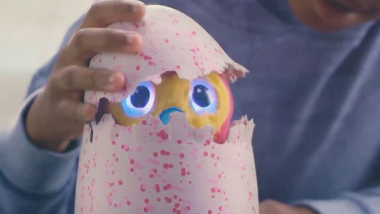 Parents Claims Children's Hatchimals Are Speaking Their Own X-Rated Language background