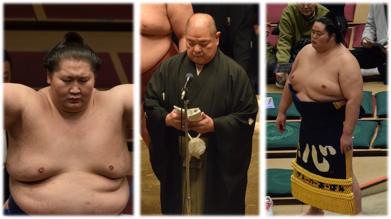 Ichinojo celebrates; Hoshoryu will compete; chairmanship battle hots up (Sumo News, Jul 9th) background