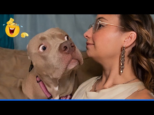 TOP Videos of the YEAR! ЁЯдгЁЯР╢ FUNNIEST Pets of 2026 background