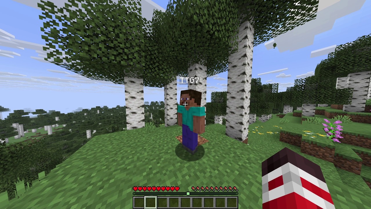 Minecraft But We’re Helen Keller (ft. Testytwistergaming) background