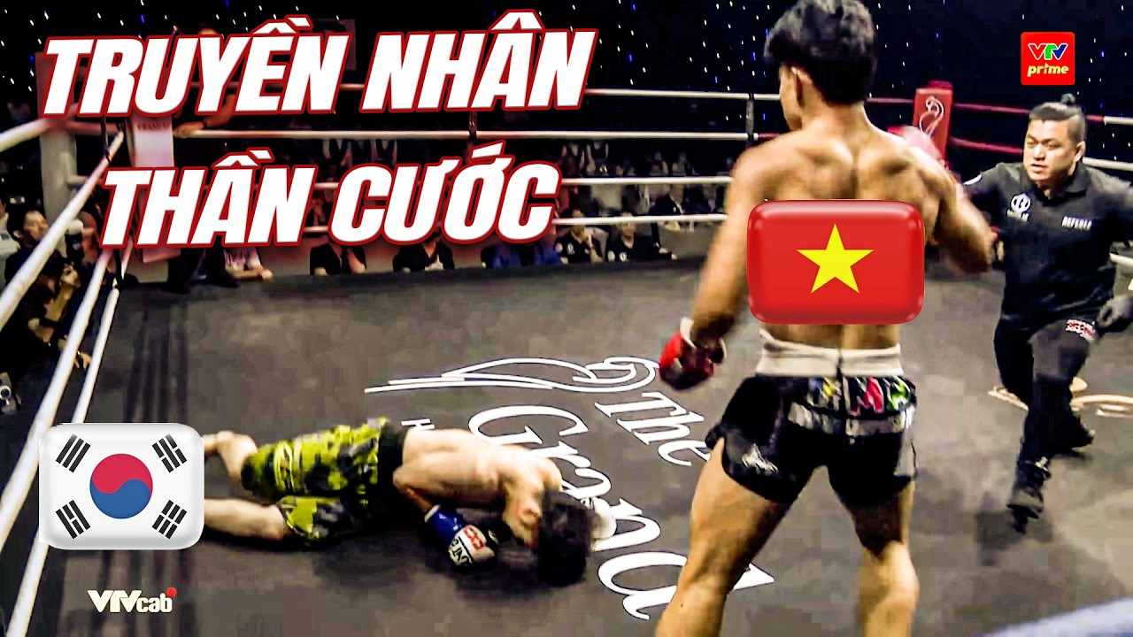 Võ sĩ trẻ măng Việt Nam show CÚ ĐÁ THẦN LỰC không khác gì Lý Huỳnh làm võ sĩ Hàn Quốc gục ngã backdrop