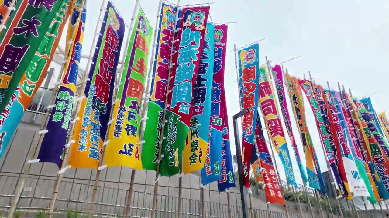 4K 名古屋場所 IGアリーナのぼり旗 大の里 豊昇龍【大相撲令和8年7月場所】【SUMO MAY DAY1】2026/07/12 background