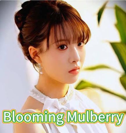 green mulberry tree [English] poster