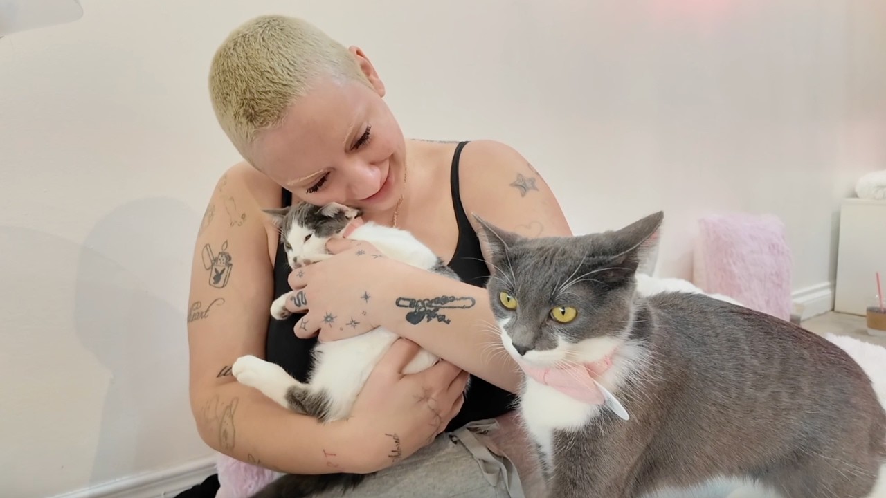 LETS GO TO A CAT CAFE background