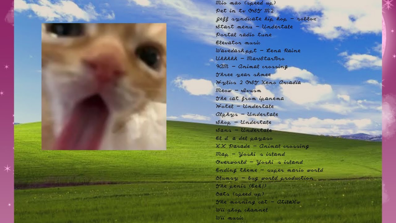 A silly playlist for silly cat people background