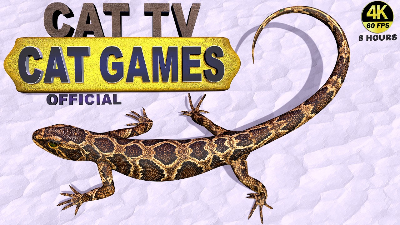CAT TV | ULTIMATE LIZARD MAZE MANIA ๐ฆ | CATS GO CRAZY WATCHING! | REALISTIC TAIL MOVEMENT | 4K 60FPS background