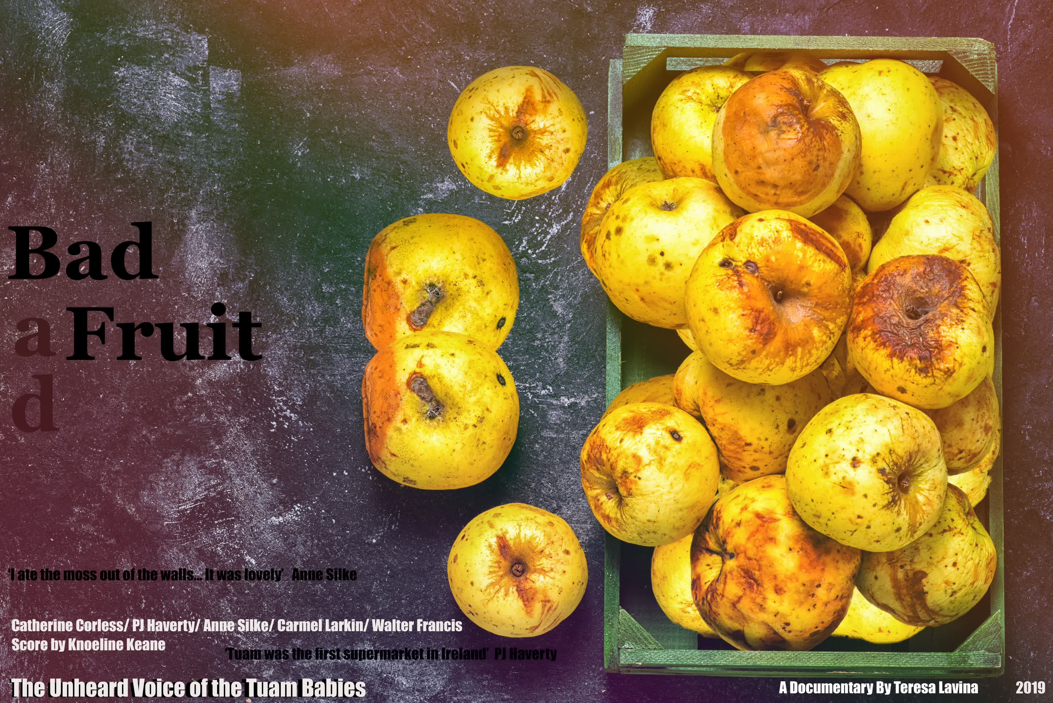 Bad Fruit. The unheard voice of the Tuam babies
