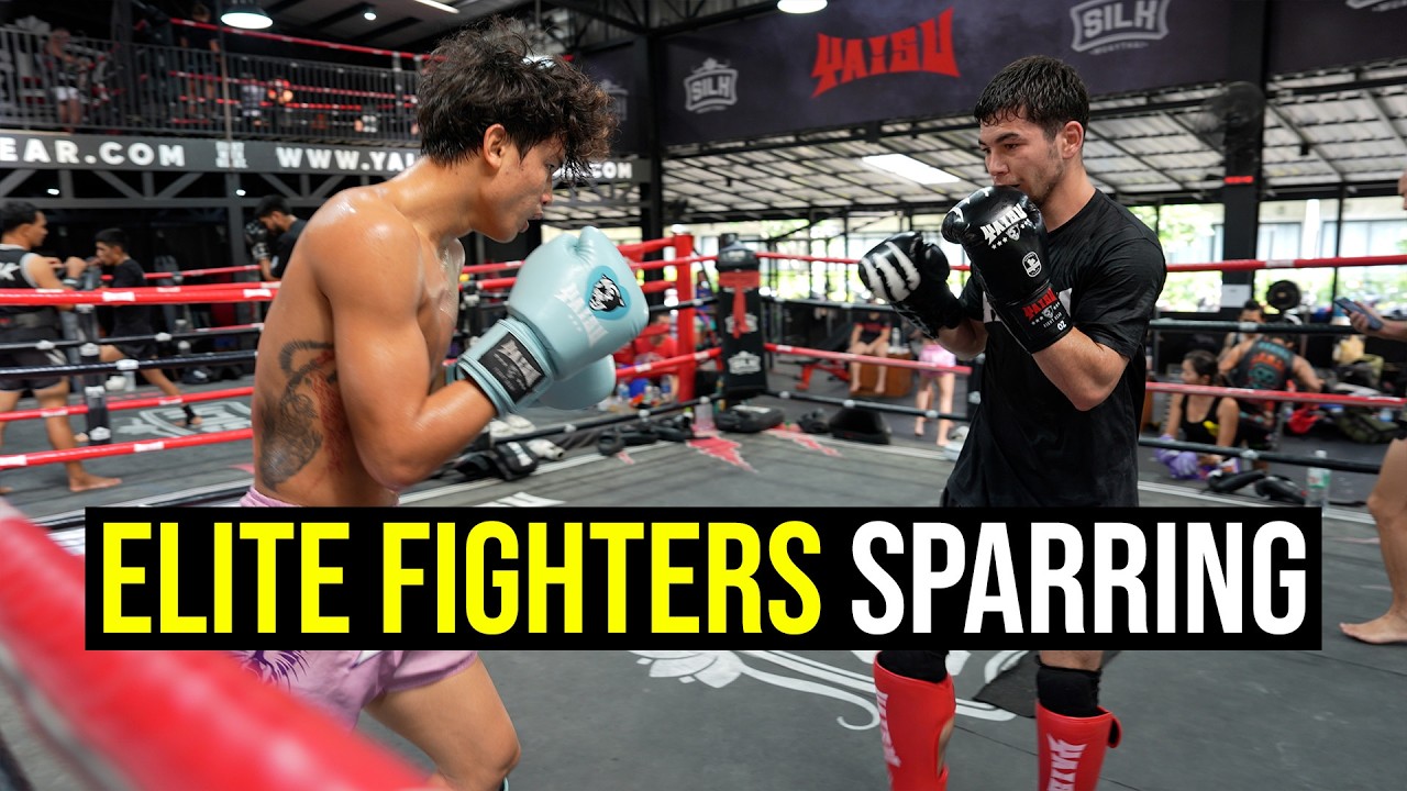 Elite Fighters Sparring - Muay Thai & Boxing | Siam Boxing backdrop