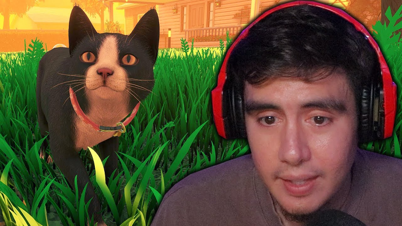 A STRAY CAT FINDS A NEW HOME WITH AN OLD LADY & I PROMISE ILL TRY NOT TO CRY | CopyCat (Full game) background