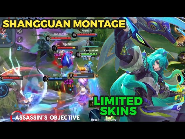 Assassins Hunt Soft Heroes Silently đđ„ | Shangguan Highlights background