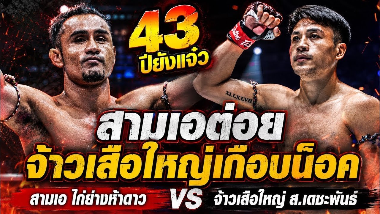 43ปียังแจ๋ว สามเอต่อยจ้าวเสือใหญ่เกือบน็อค สามเอ ไก่ย่างห้าดาว vs จ้าวเสือใหญ่ ส.เดชะพันธ์ backdrop