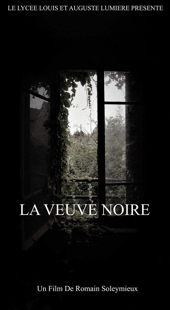 La veuve noire