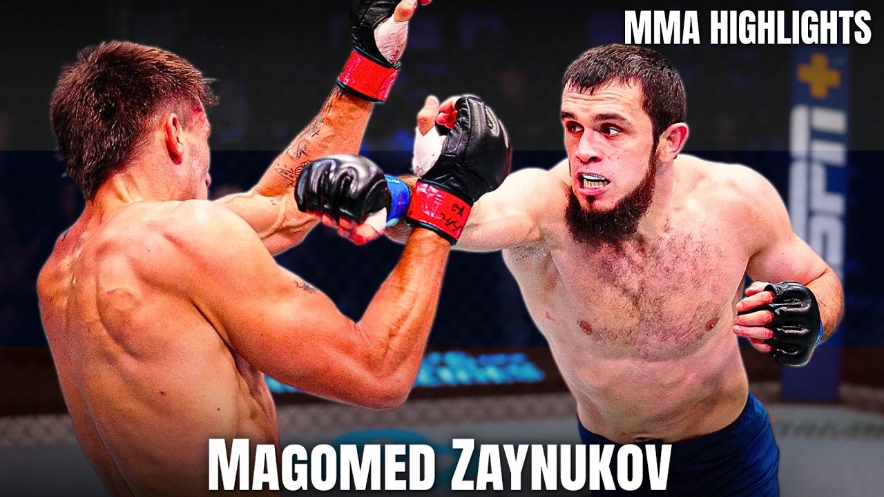 Magomed Zaynukov MMA HIGHLIGHTS 2026 Professional 8-0 Fighter UFC Prospect | DWCS | UAE Warriors🇷🇺 background