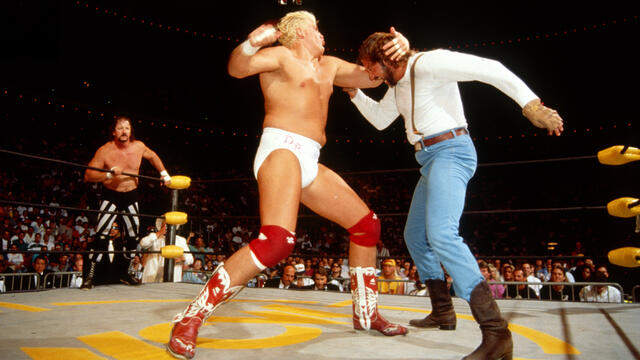 Dustin Rhodes & Arn Anderson vs. Terry Funk & Bunkhouse Bunk: WCW Bash at the Beach 1994