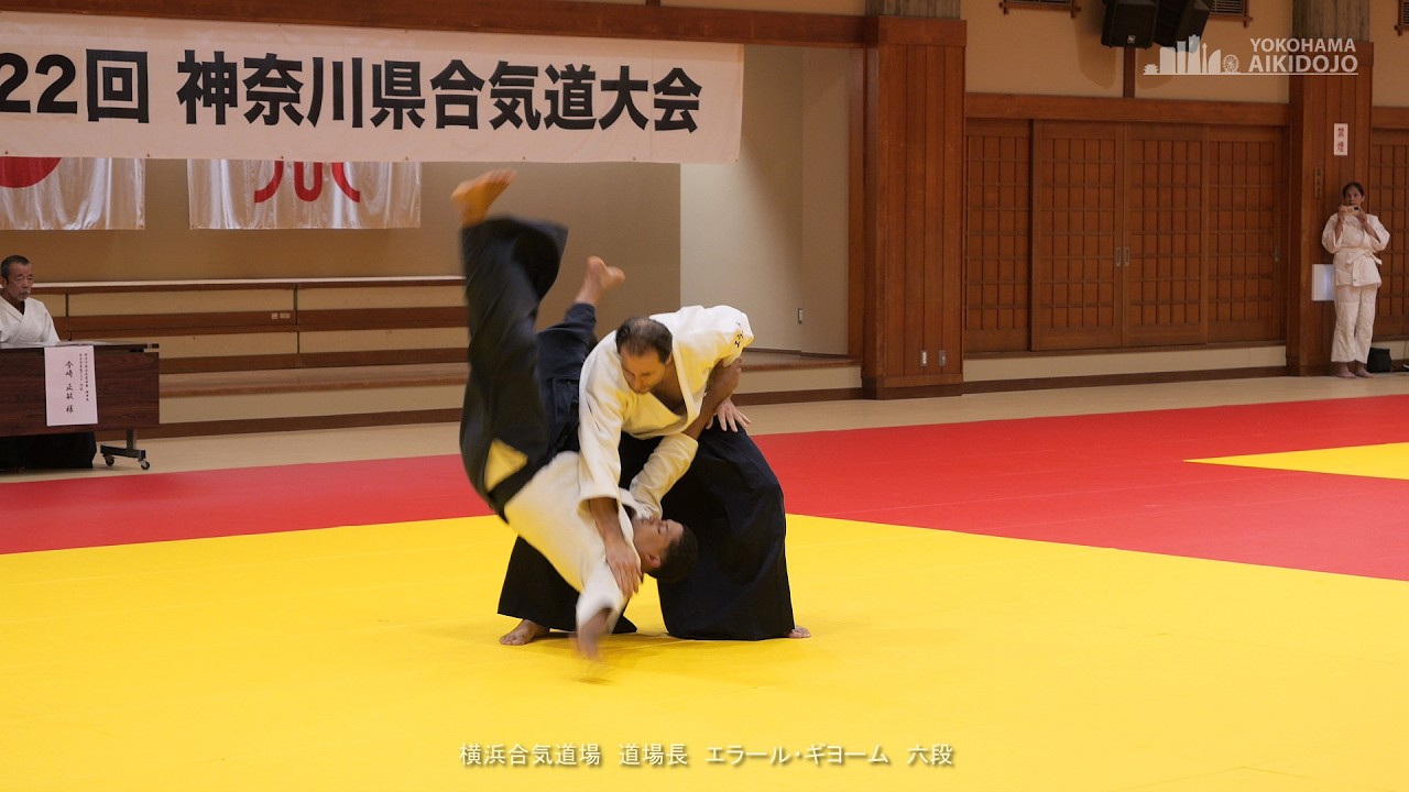 Guillaume Erard 6th dan - 22nd Kanagawa Prefecture Aikido Federation Demonstration backdrop
