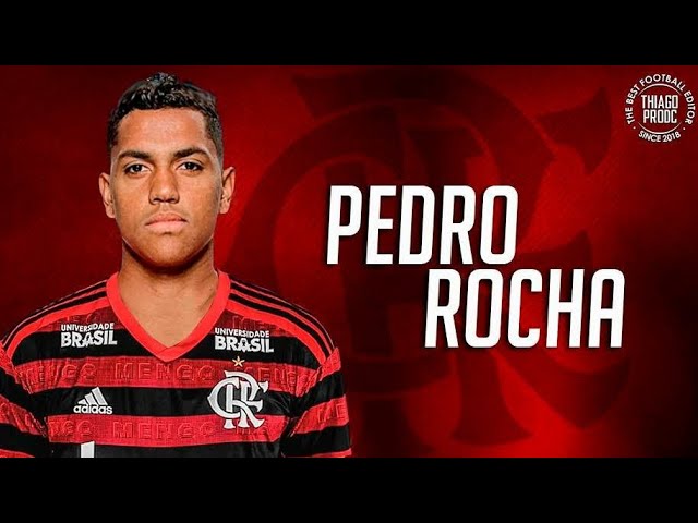 Pedro Rocha ► Bem Vindo Ao Flamengo ● Skills & Goals 2019 | HD