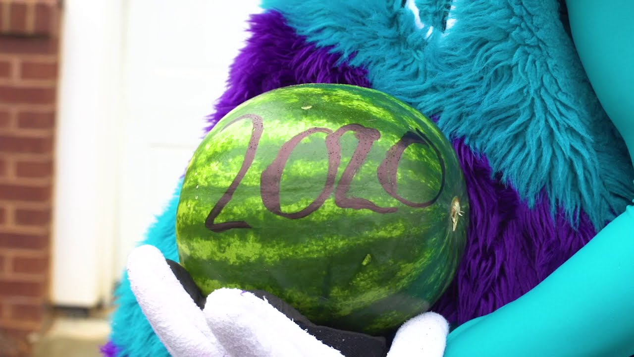 HUGO THE HORNETS DESTROYS 2020! background