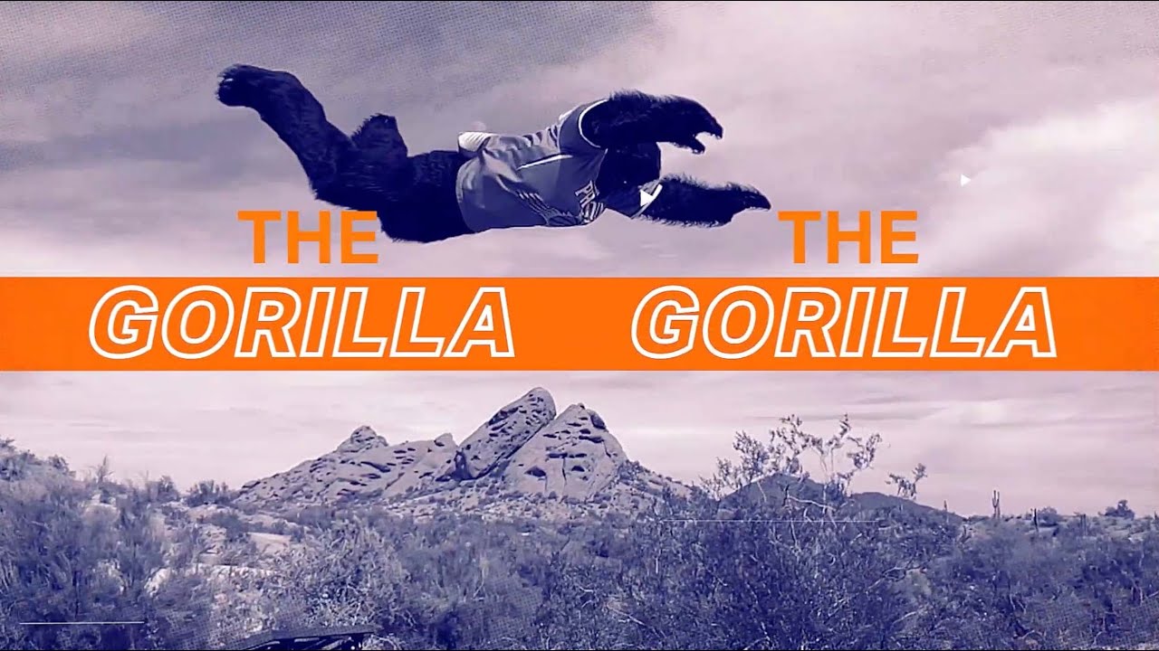GO the Gorilla's Best 2021-2022 Season | Phoenix Suns background
