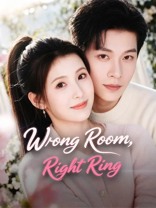(Dubbed) Wrong Room, Right Ring poster