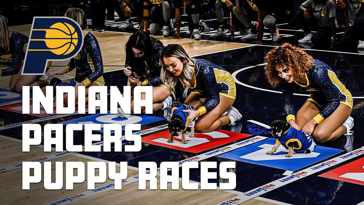 Indiana Pacers Halftime Puppy Race