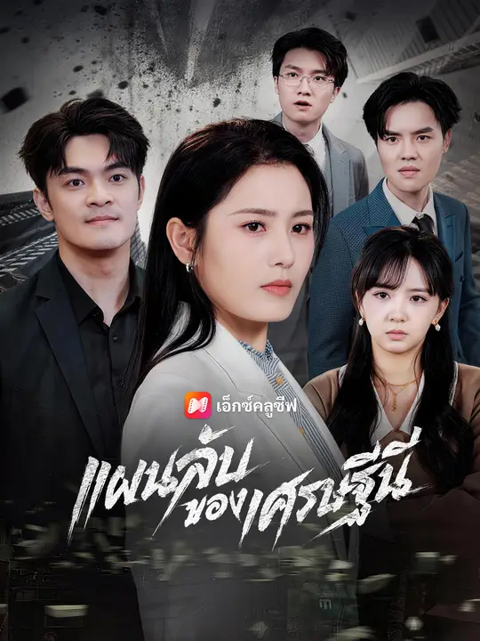 แผนลับของเศรษฐีนี poster