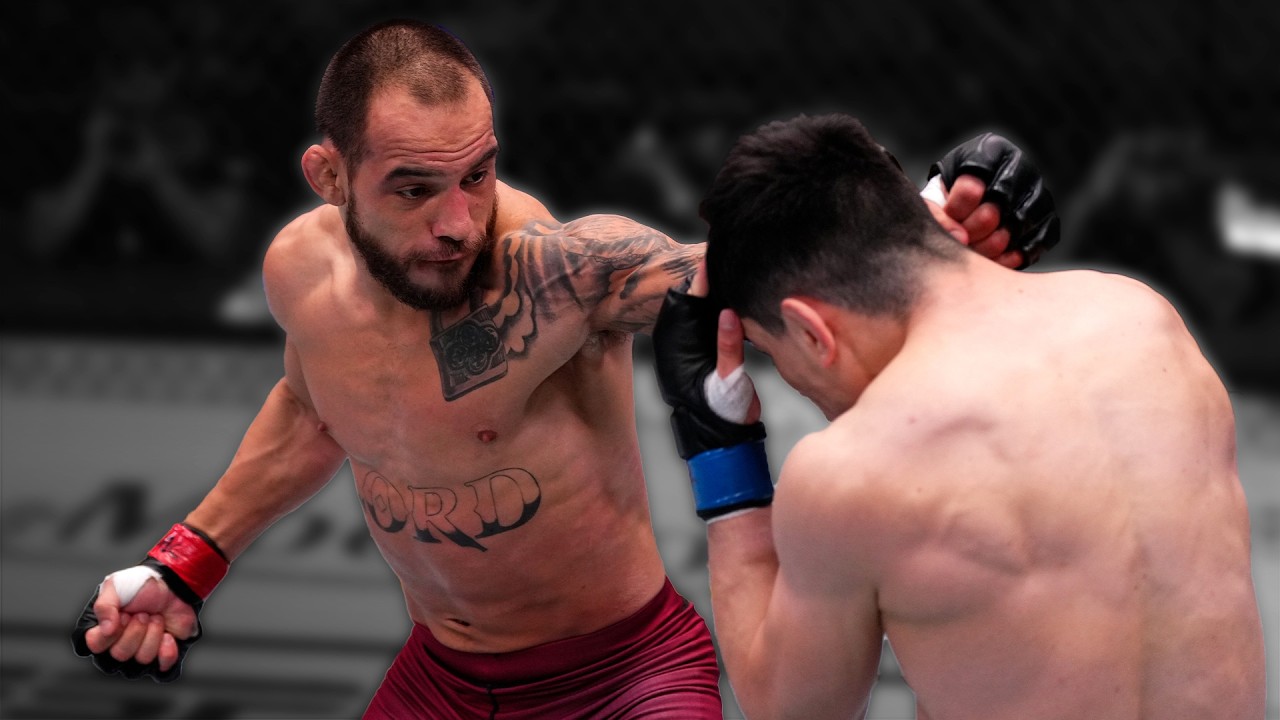 GRANDES LUTAS DO DANA WHITE'S CONTENDER SERIES | 2022 - 2025