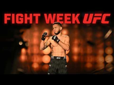 MOJ FIGHTWEEK ZA UFC U BEOGRADU background