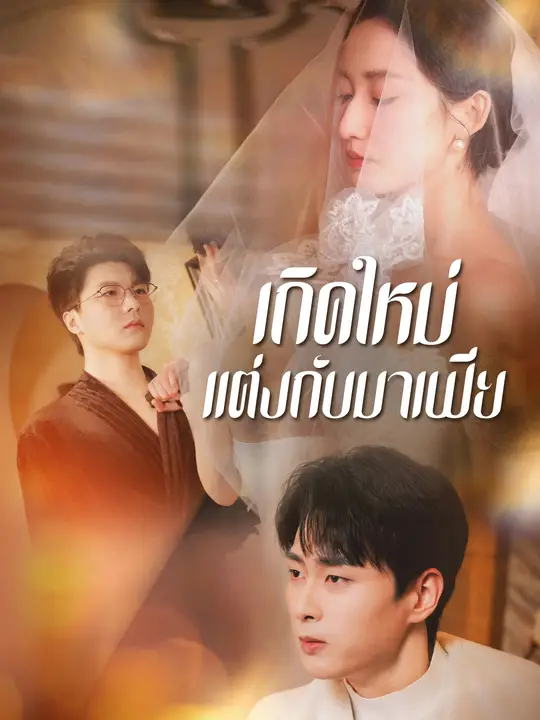 เกิดใหม่แต่งกับมาเฟีย poster