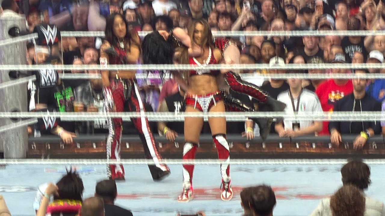 Nikki Bella Destroys Paige - WWE SummerSlam 2026 background
