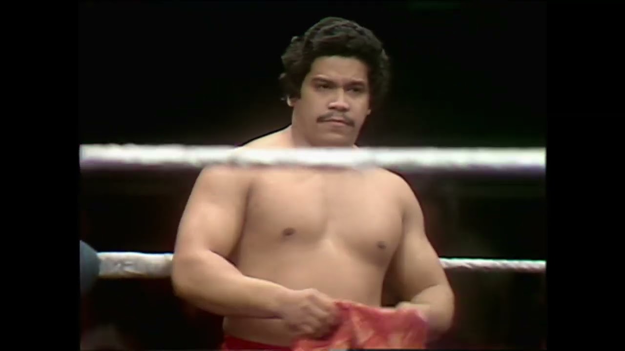WWF Championship Wrestling 04 11 1981 background
