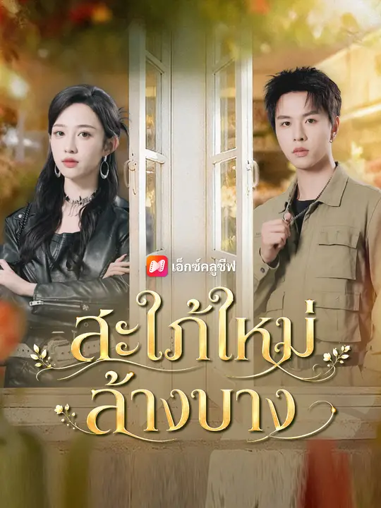 สะใภ้ใหม่ล้างบาง poster