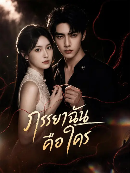 ภรรยาฉันคือใคร poster