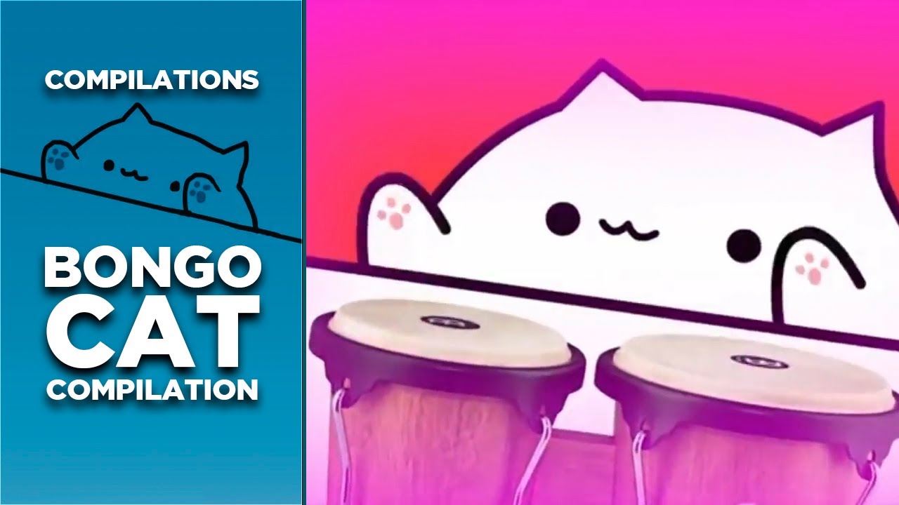 Bongo cat meme compilation (37 songs) background