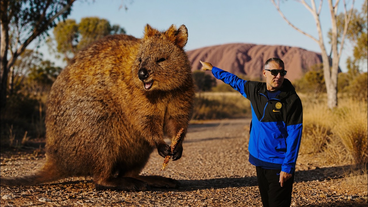 VIERI E L’INCONTRO RAVVICINATO CON IL SORRISO DEI QUOKKA 🇦🇺 | VIAGGIO A ROTTNEST ISLAND 🚢🖤💙 background