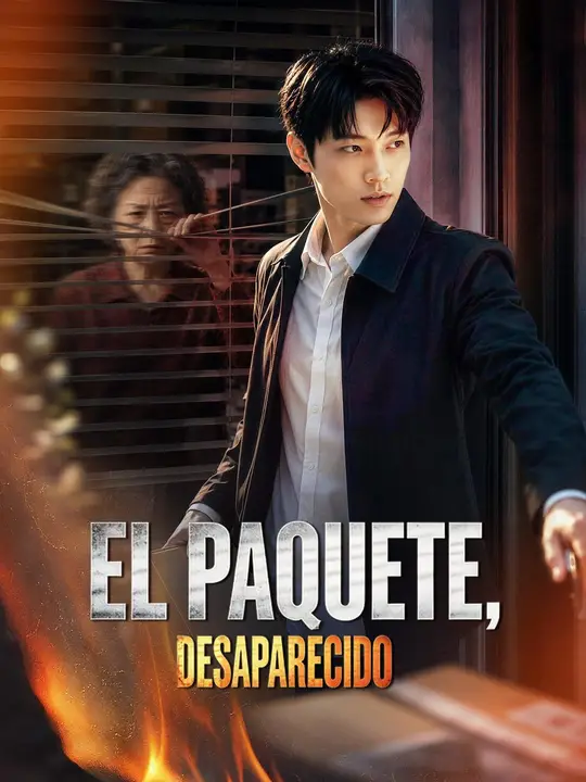 (Sulih suara) Paket yang Raib poster