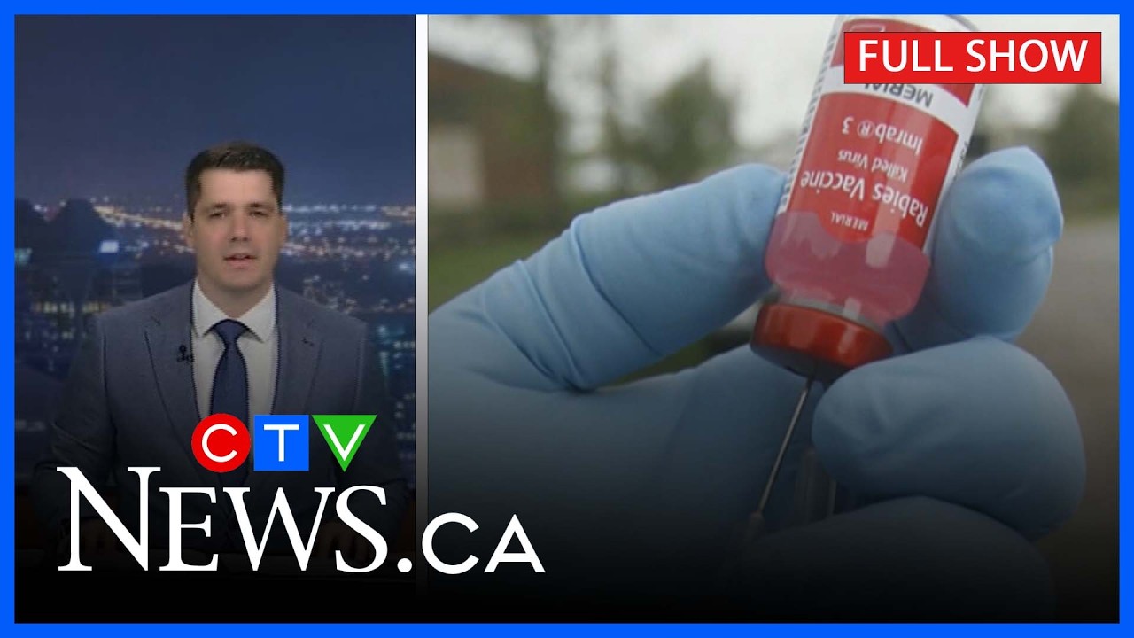 Cat with rabies lunges at Quebec woman | CTV News Montreal at 11:30 p.m. for Friday, July 31, 2026 background