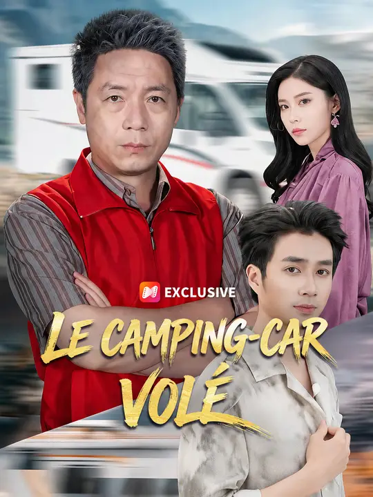 LE CAMPING-CAR VOLÉ poster