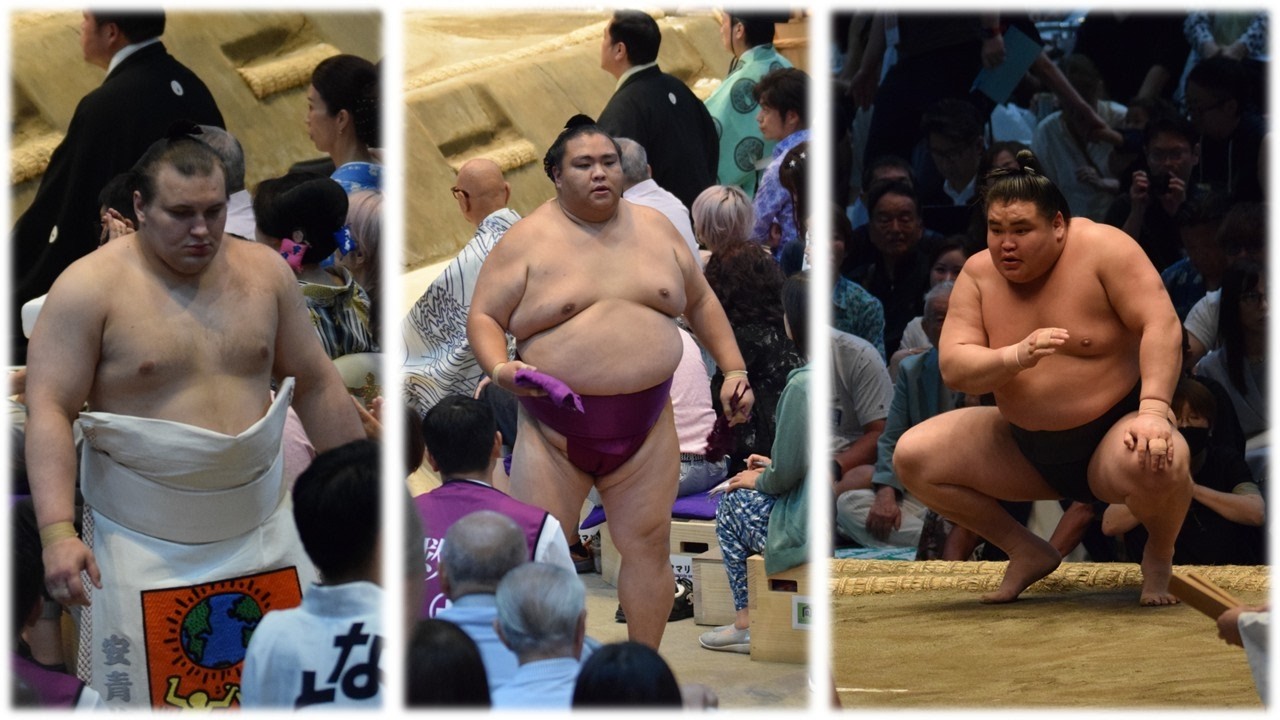 Aonishiki "needs fan contact"; Mitakeumi ponders quitting; Asahifuji impresses (Sumo News, Aug 5th)