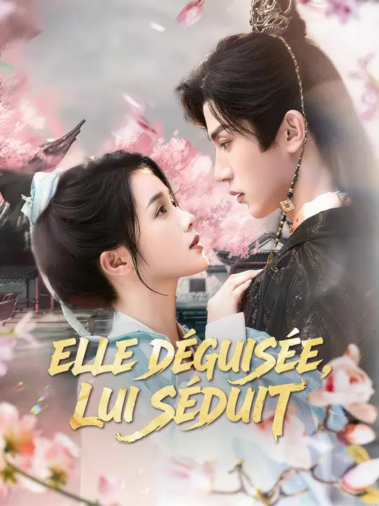 ELLE DÉGUISÉE, LUI SÉDUIT poster