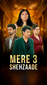 Mere 3 Shehzaade [English]