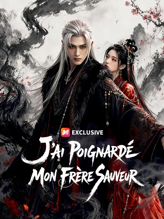 J'AI POIGNARDÉ MON FRÈRE SAUVEUR poster