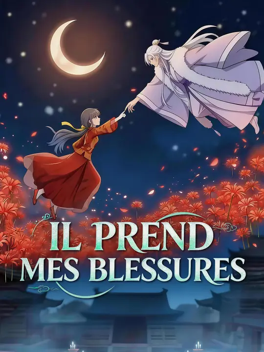 IL PREND MES BLESSURES poster
