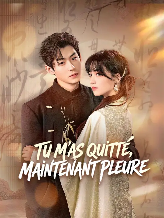 (Doublage) TU M'AS QUITTÉ, MAINTENANT PLEURE poster