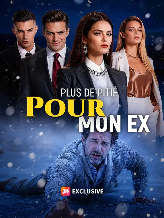 PLUS DE PITIÉ POUR MON EX poster