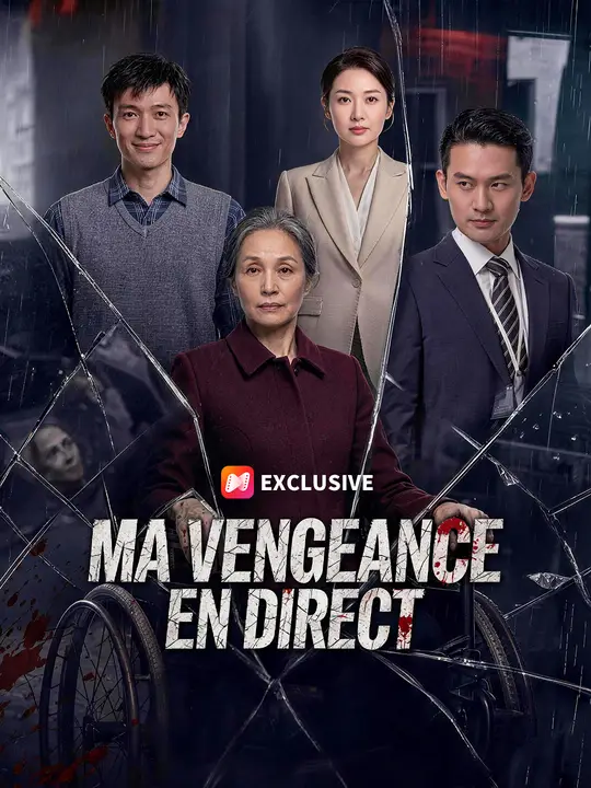 MA VENGEANCE EN DIRECT poster