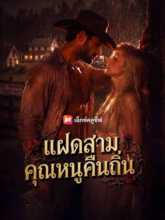 แฝดสามคุณหนูคืนถิ่น poster