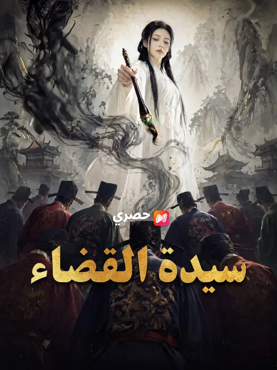 سيدة القضاء poster