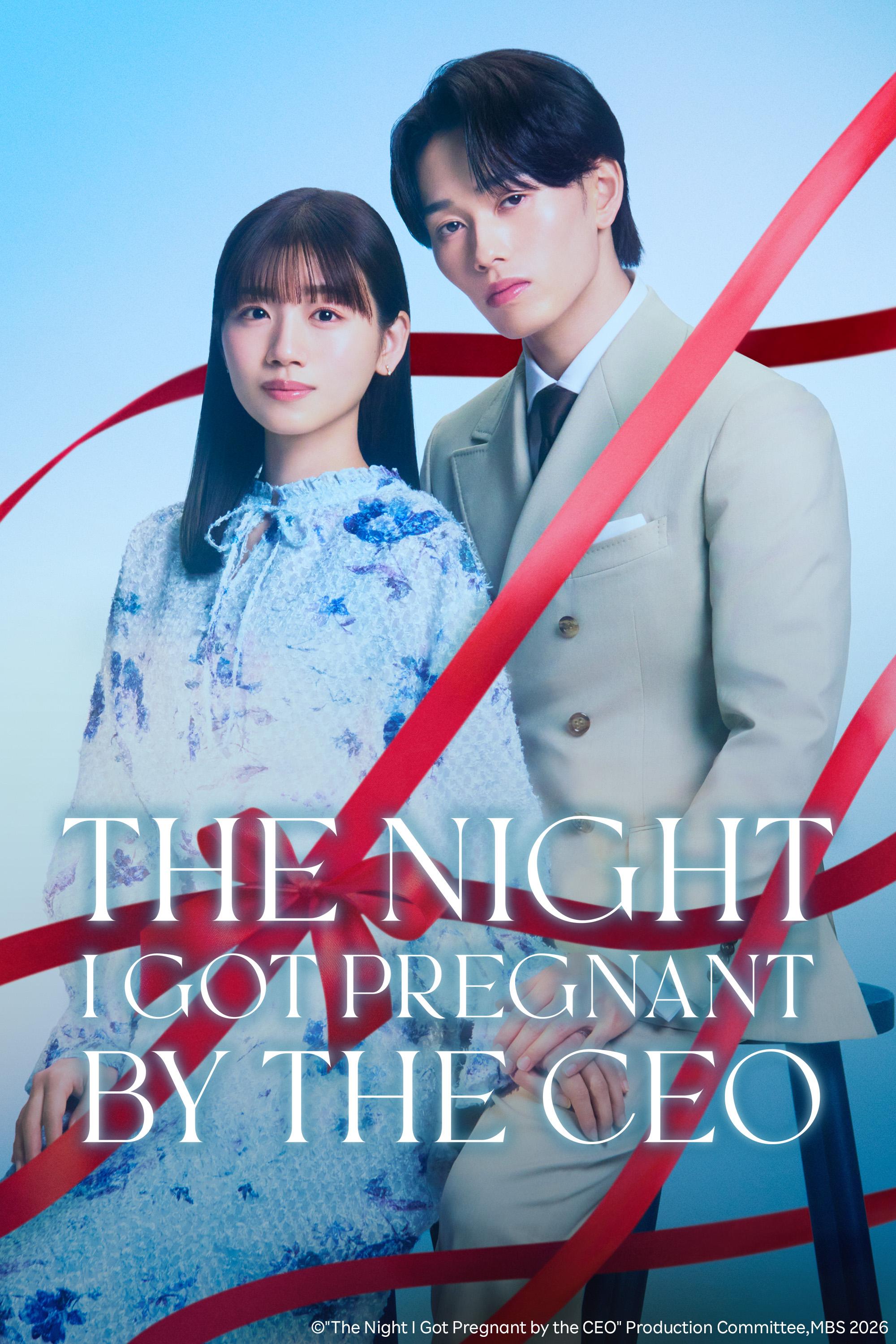 The Night I Got Pregnant by the CEO