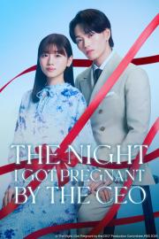 The Night I Got Pregnant by the CEO
