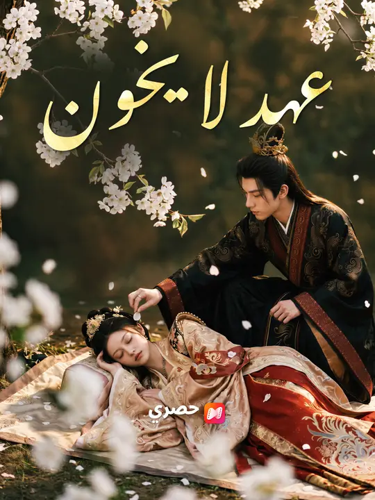 عهد لا يخون poster